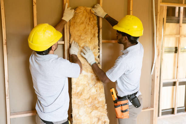 Best Eco-Friendly or Green Insulation Solutions  in Grenelefe, FL